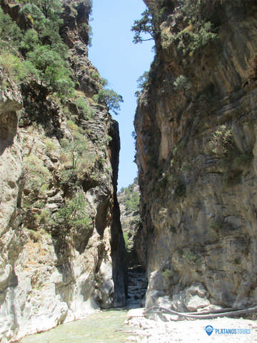 PLATANOS TOURS: Φωτογραφίες & Βίντεο
