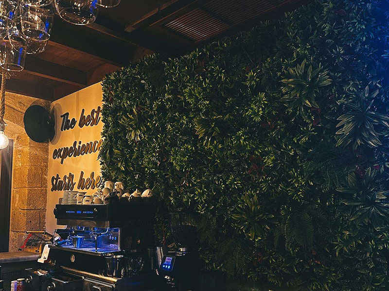 PLATEA CAFE KITCHEN BAR: Φωτογραφίες & Βίντεο