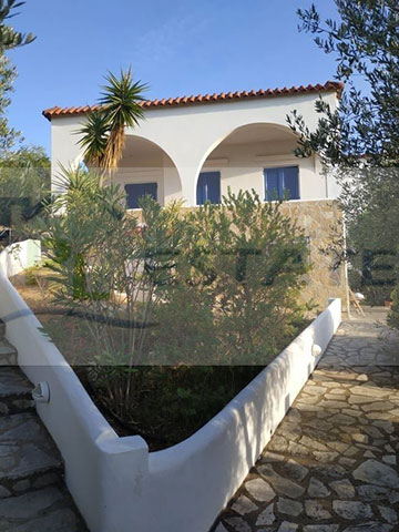 PL ESTATE: Φωτογραφίες & Βίντεο