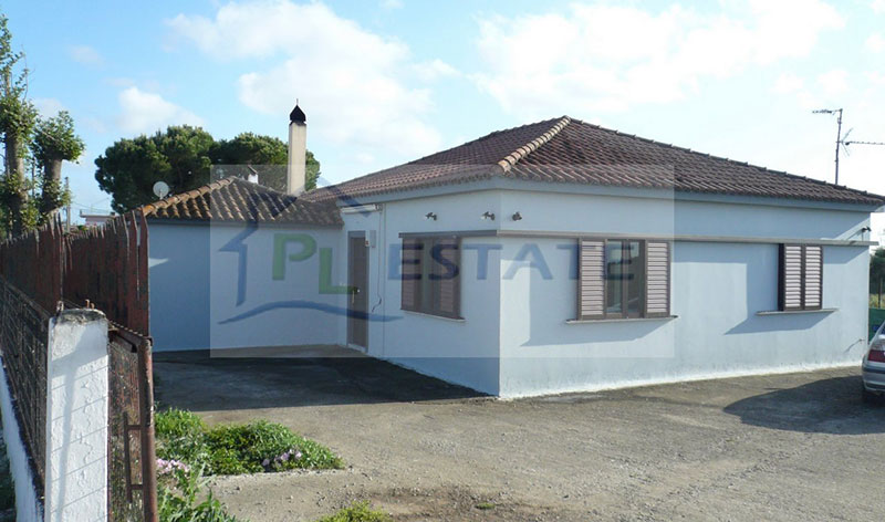 PL ESTATE: Φωτογραφίες & Βίντεο