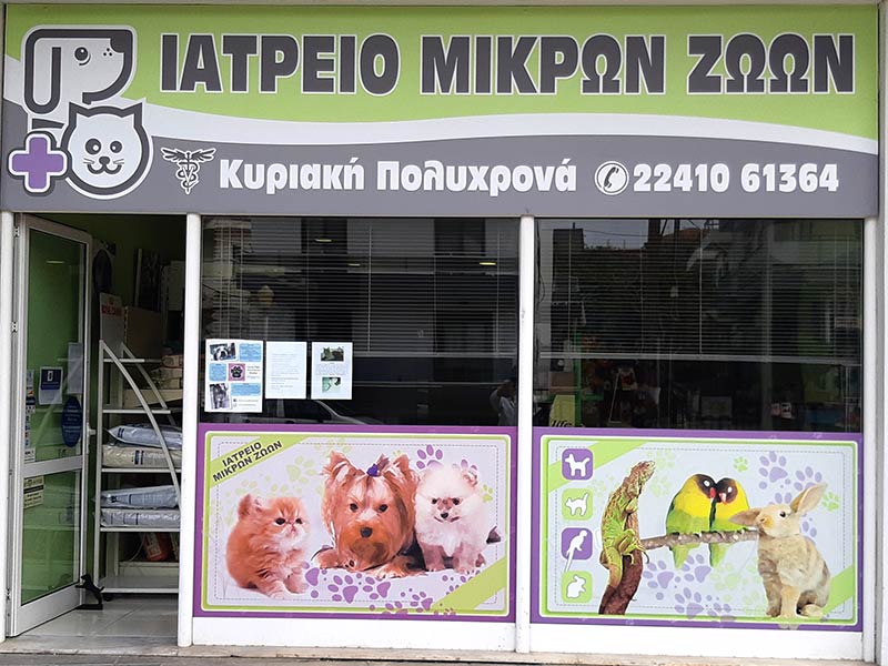 ΠΟΛΥΧΡΟΝΑ ΚΥΡΙΑΚΗ: Φωτογραφίες & Βίντεο