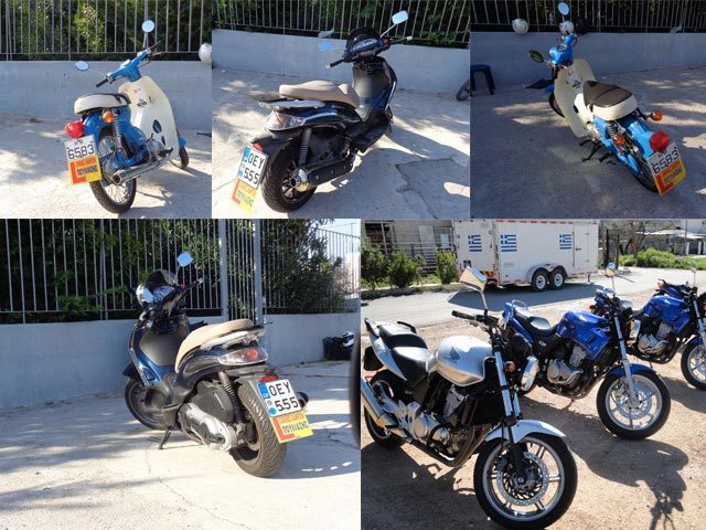ΠΟΥΛΙΑΣΗΣ ΝΙΚΟΛΑΟΣ: Φωτογραφίες & Βίντεο