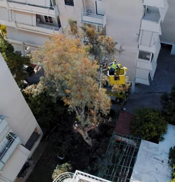 ΠΡΑΣΙΝΗ ΟΑΣΗ: Φωτογραφίες & Βίντεο