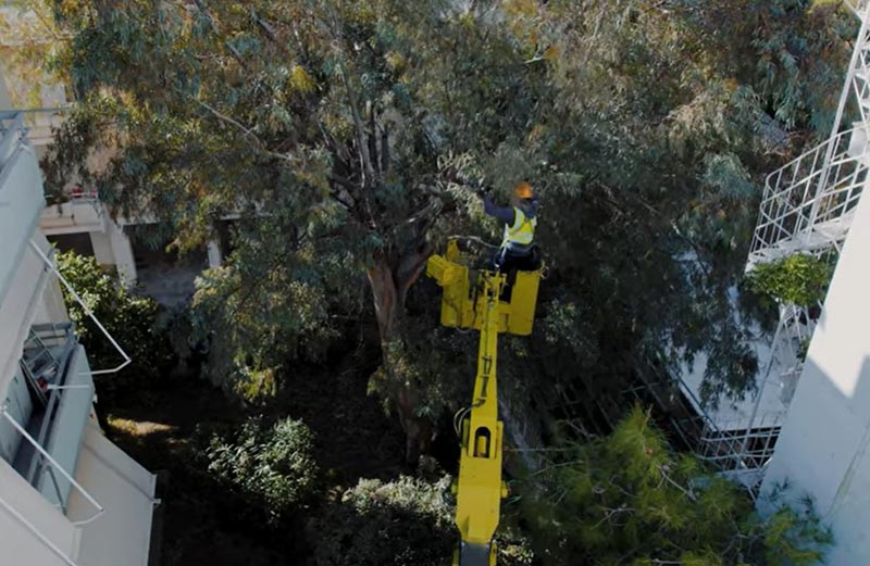 ΠΡΑΣΙΝΗ ΟΑΣΗ: Φωτογραφίες & Βίντεο