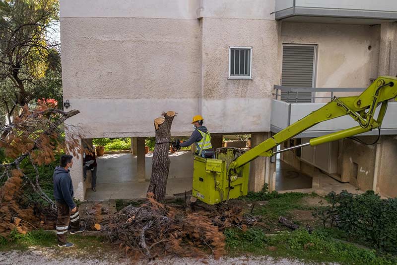 ΠΡΑΣΙΝΗ ΟΑΣΗ: Φωτογραφίες & Βίντεο