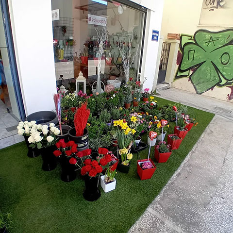 PRECIOUS GARDEN - ΕΛΕΥΘΕΡΙΟΥ ΠΟΛΥΤΙΜΟΣ: Φωτογραφίες & Βίντεο