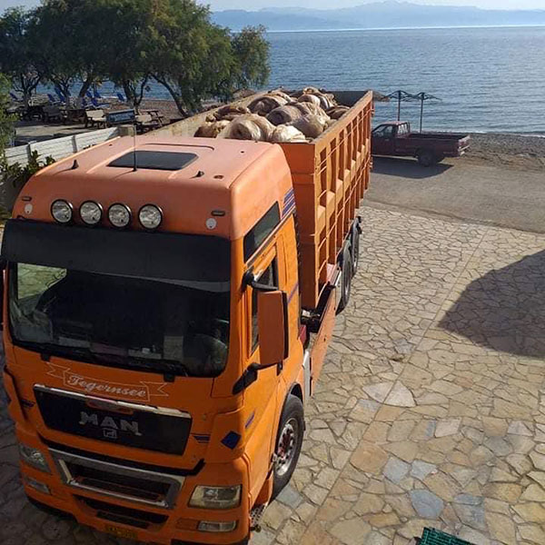 ΠΡΙΟΒΟΛΟΣ ΧΡΗΣΤΟΣ: Φωτογραφίες & Βίντεο