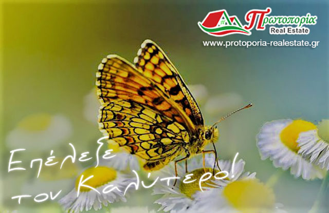 ΠΡΩΤΟΠΟΡΙΑ REAL ESTATE - ΜΕΛΕΤΗ ΠΑΝΑΓΙΩΤΑ: Φωτογραφίες & Βίντεο