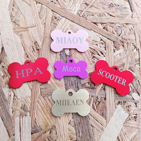 PUPPIES MAX: Φωτογραφίες & Βίντεο