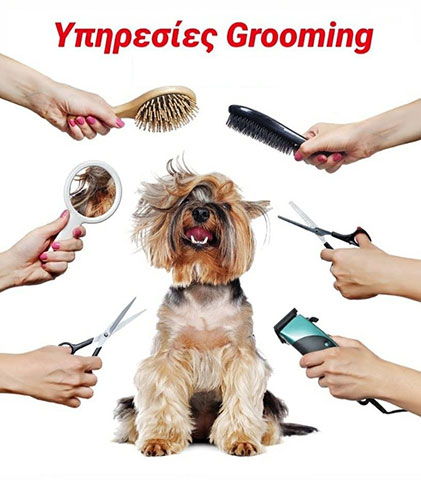 PUPPIES MAX: Φωτογραφίες & Βίντεο
