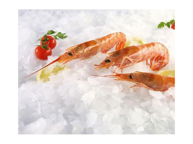 QUALITY FOOD SERVICE: Φωτογραφίες & Βίντεο