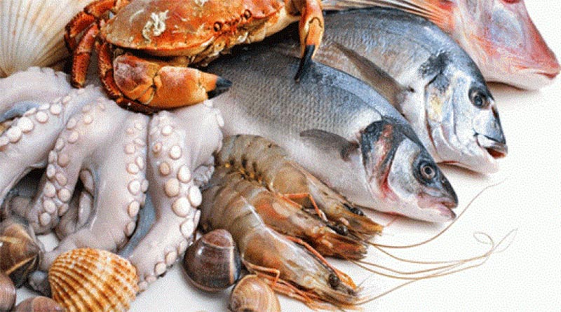 QUALITY FOOD SERVICE: Φωτογραφίες & Βίντεο