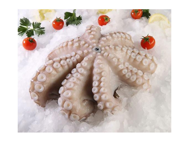 QUALITY FOOD SERVICE: Φωτογραφίες & Βίντεο