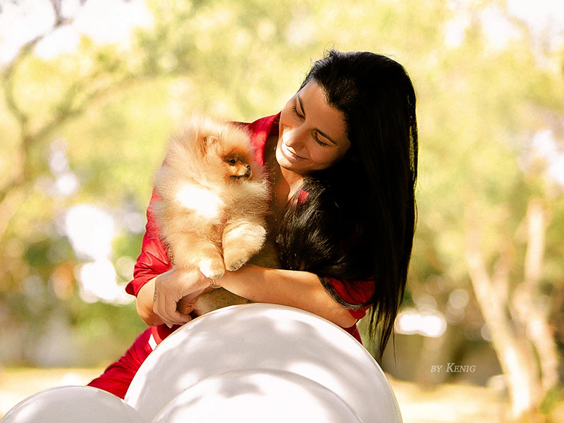 QUEEN OF NORTH - POMERANIAN KENNEL: Φωτογραφίες & Βίντεο