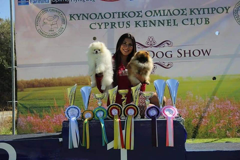 QUEEN OF NORTH - POMERANIAN KENNEL: Φωτογραφίες & Βίντεο