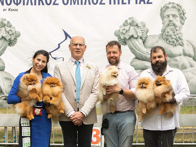 QUEEN OF NORTH - POMERANIAN KENNEL: Φωτογραφίες & Βίντεο