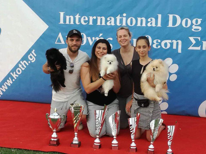 QUEEN OF NORTH - POMERANIAN KENNEL: Φωτογραφίες & Βίντεο