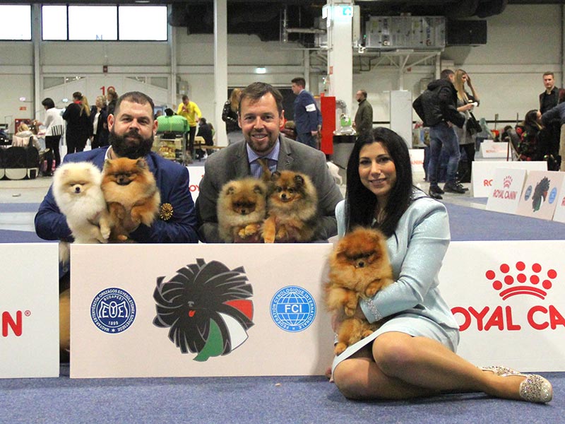 QUEEN OF NORTH - POMERANIAN KENNEL: Φωτογραφίες & Βίντεο