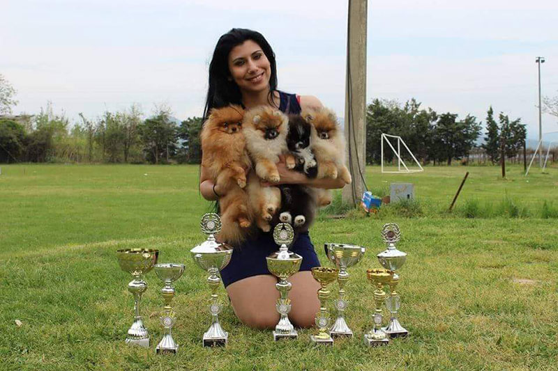 QUEEN OF NORTH - POMERANIAN KENNEL: Φωτογραφίες & Βίντεο