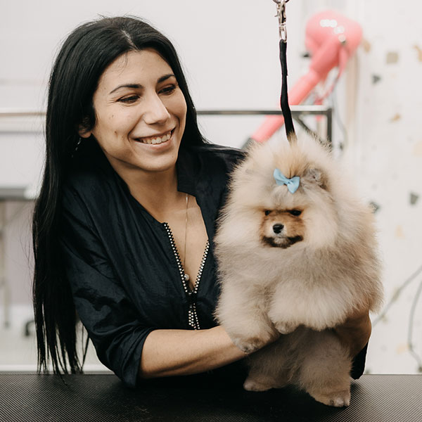 QUEEN OF NORTH - POMERANIAN KENNEL: Φωτογραφίες & Βίντεο