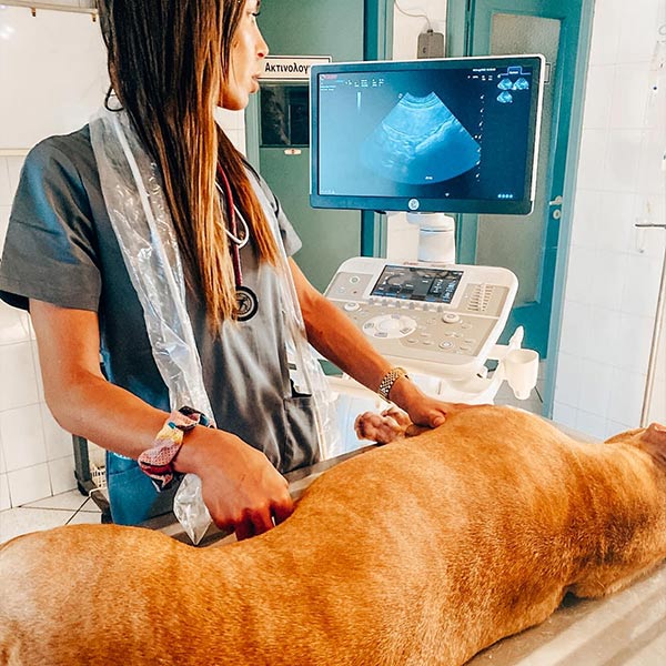 RAMANTANI ELENI: Φωτογραφίες & Βίντεο