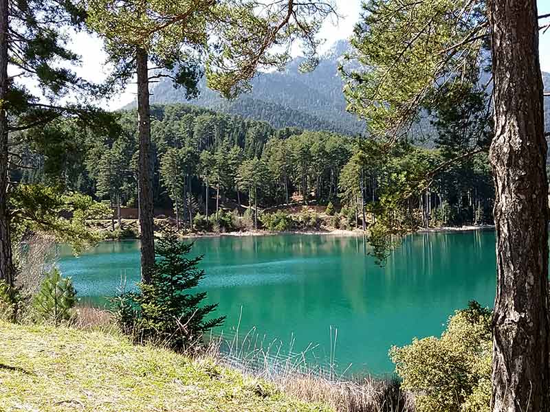 RANIA TOURS - SPYROPOULOS THEODOROS: Φωτογραφίες & Βίντεο