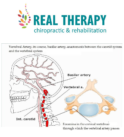REAL THERAPY AND CHIROPRACTIC - TSONOS EVAGGELOS: Φωτογραφίες & Βίντεο