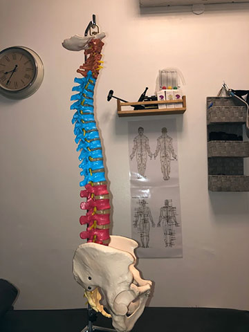 REAL THERAPY AND CHIROPRACTIC - TSONOS EVAGGELOS: Φωτογραφίες & Βίντεο