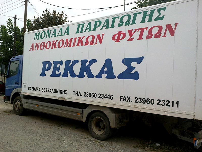 ΡΕΚΚΑΣ ΔΗΜΗΤΡΙΟΣ: Φωτογραφίες & Βίντεο
