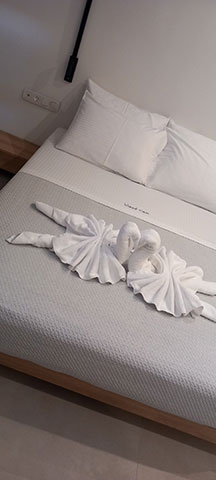 ROYAL MAID CLEANING: Φωτογραφίες & Βίντεο