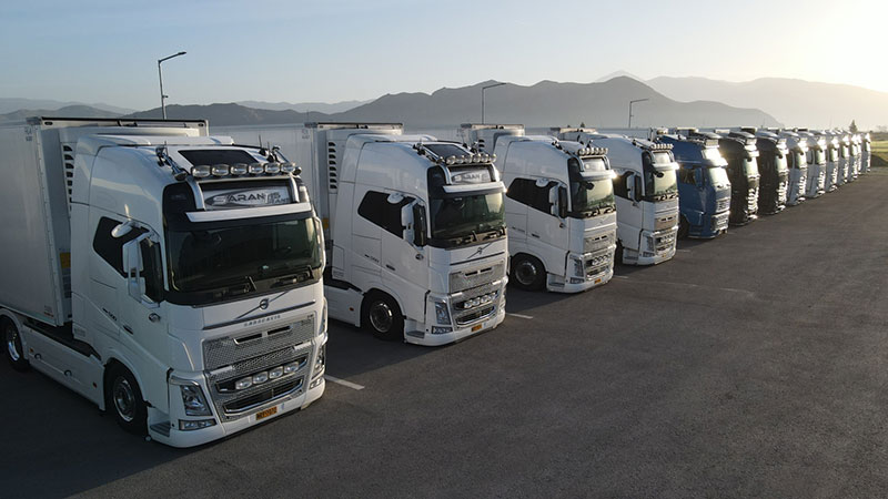 SARANTIS TRANS: Φωτογραφίες & Βίντεο