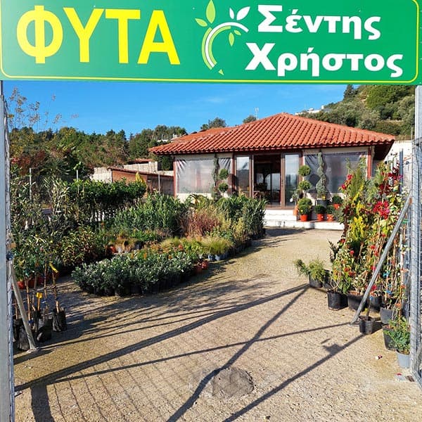 ΣΕΝΤΗΣ ΧΡΗΣΤΟΣ: Φωτογραφίες & Βίντεο