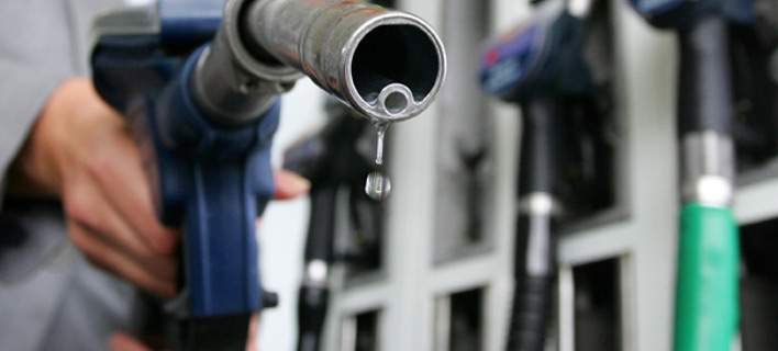 SHELL - TSAKIRI I. MARGARITA: Φωτογραφίες & Βίντεο