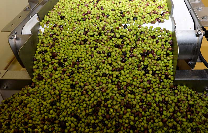 SIGRI OLIVE MILL: Φωτογραφίες & Βίντεο