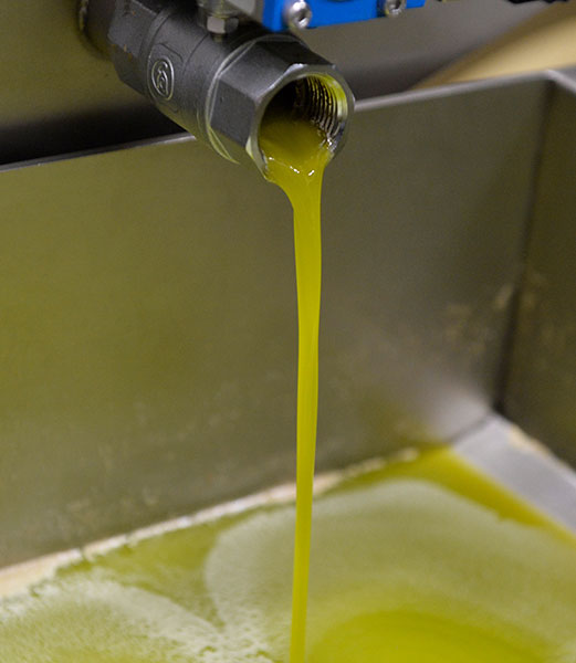 SIGRI OLIVE MILL: Φωτογραφίες & Βίντεο
