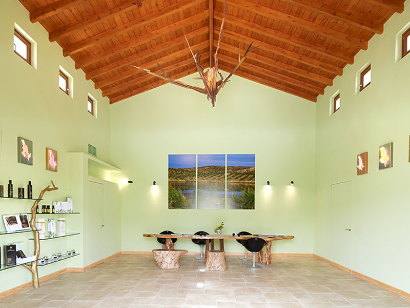 SIGRI OLIVE MILL: Φωτογραφίες & Βίντεο