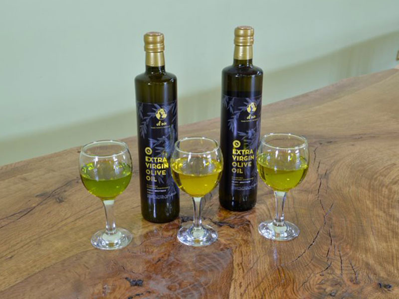 SIGRI OLIVE MILL: Φωτογραφίες & Βίντεο