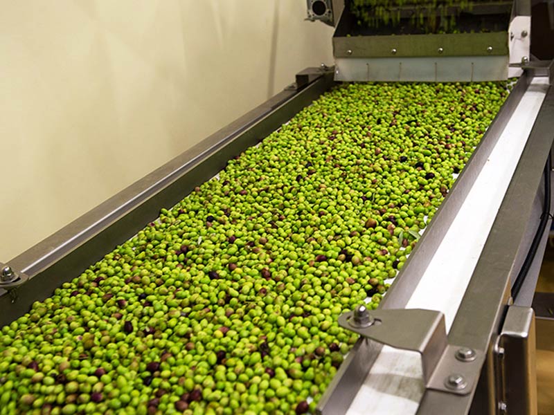 SIGRI OLIVE MILL: Φωτογραφίες & Βίντεο