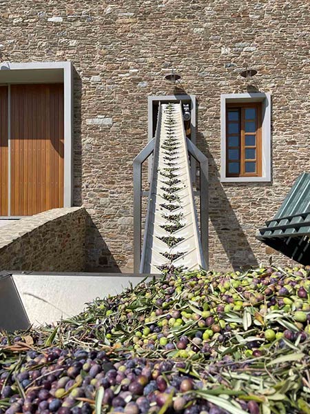 SIGRI OLIVE MILL: Φωτογραφίες & Βίντεο