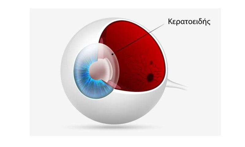 ΣΙΝΟΠΟΥΛΟΣ ΔΗΜΗΤΡΙΟΣ MD: Φωτογραφίες & Βίντεο