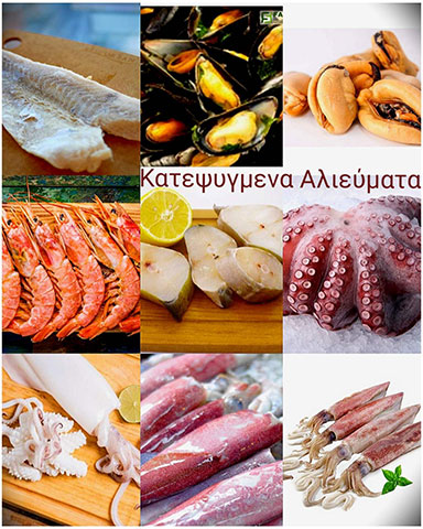 SIOUTAS FOODS & SERVICE: Φωτογραφίες & Βίντεο