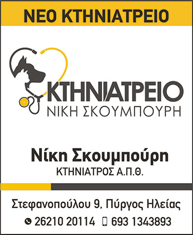 ΣΚΟΥΜΠΟΥΡΗ ΝΙΚΗ: Φωτογραφίες & Βίντεο