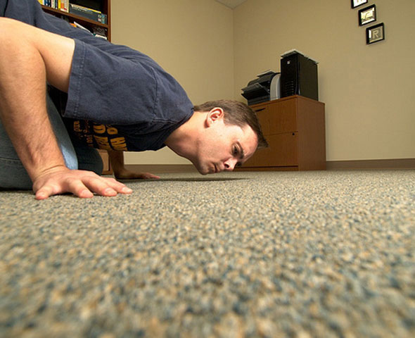 Really clean carpets & rugs