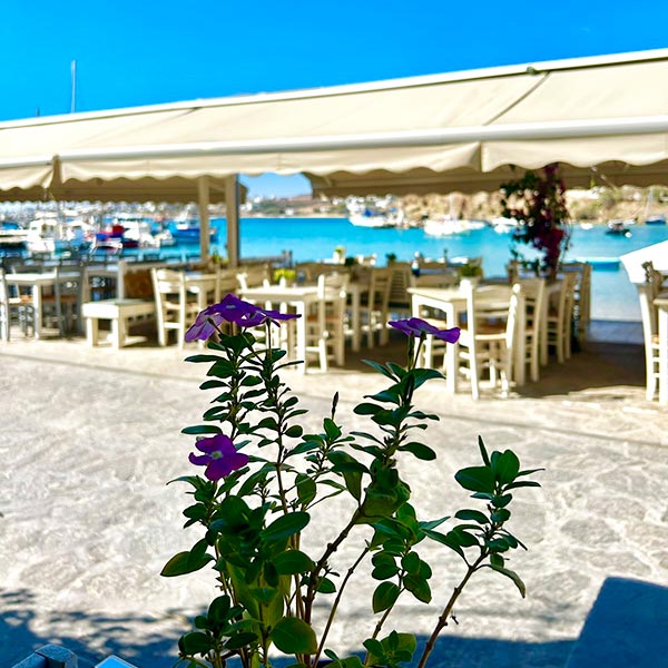 SOIREE RESTAURANT: Φωτογραφίες & Βίντεο