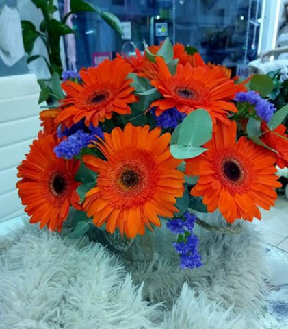 SOULA'S FLOWERS: Φωτογραφίες & Βίντεο
