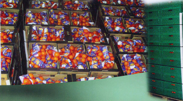 Packaging area