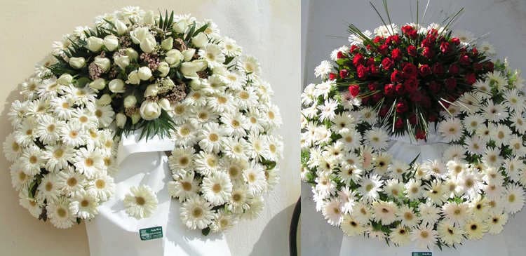 SPATHARIS DIMITRIOS: Φωτογραφίες & Βίντεο