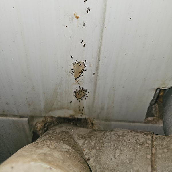 SPCS - ΣΑΚΕΛΛΑΡΙΔΗΣ ΑΝΑΣΤΑΣΙΟΣ: Φωτογραφίες & Βίντεο