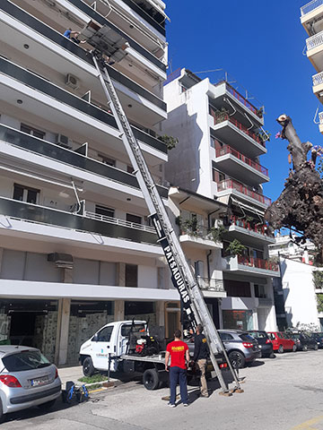 SPECIAL TRANSPORTATIONS ΠΑΤΣΑΟΥΡΑΣ: Φωτογραφίες & Βίντεο