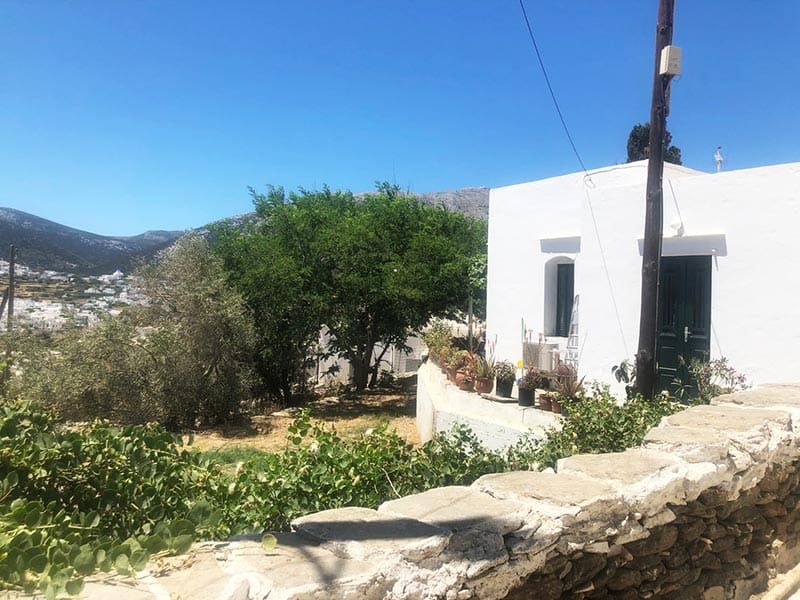 SPITHA EVAGGELIA: Φωτογραφίες & Βίντεο